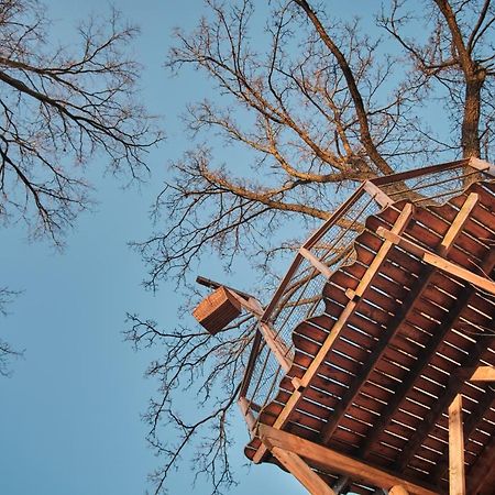 فيلا Treehouse Kremilek Jesenice  المظهر الخارجي الصورة
