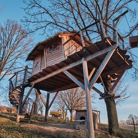 فيلا Treehouse Kremilek Jesenice  المظهر الخارجي الصورة