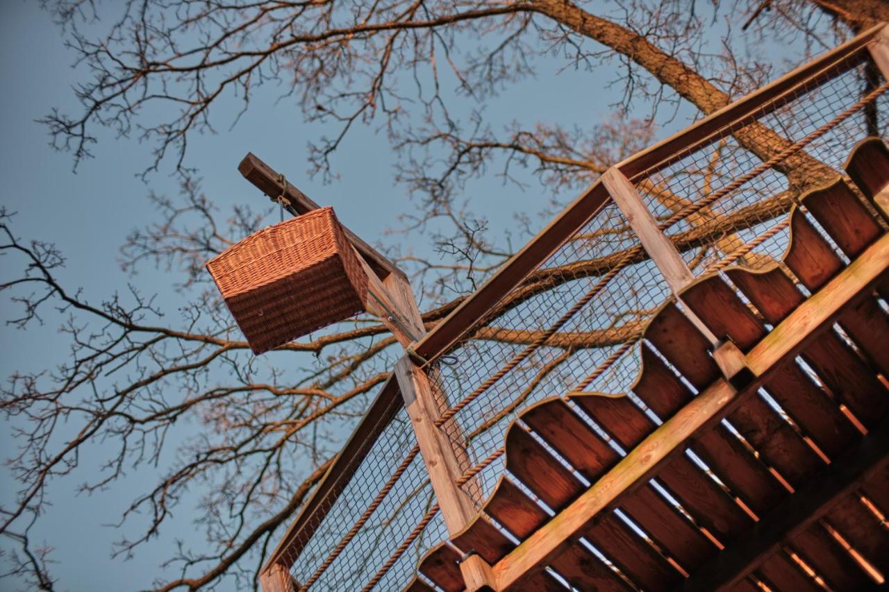 فيلا Treehouse Kremilek Jesenice  المظهر الخارجي الصورة